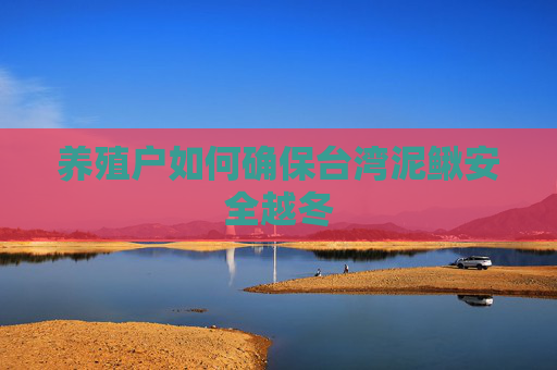 养殖户如何确保台湾泥鳅安全越冬