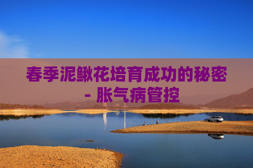 春季泥鳅花培育成功的秘密－胀气病管控