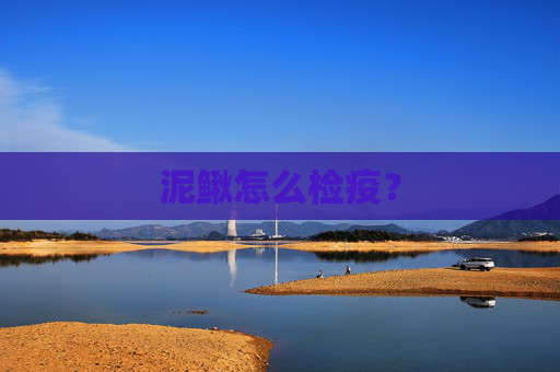 泥鳅怎么检疫？