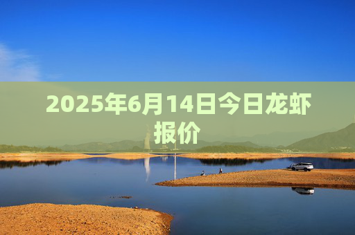 2025年6月14日今日龙虾报价