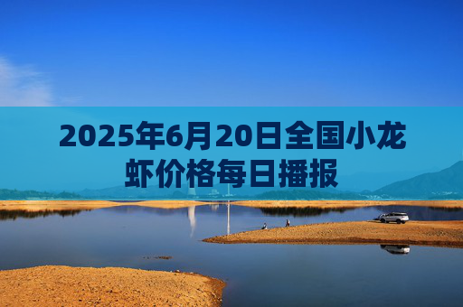 2025年6月20日全国小龙虾价格每日播报