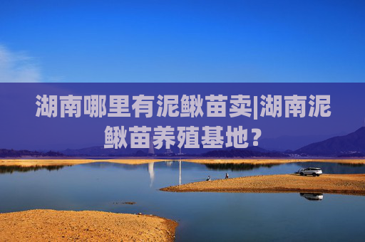 湖南哪里有泥鳅苗卖|湖南泥鳅苗养殖基地？