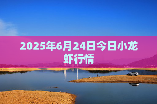 2025年6月24日今日小龙虾行情