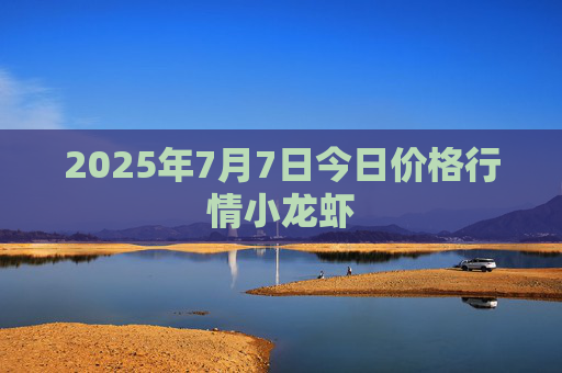 2025年7月7日今日价格行情小龙虾