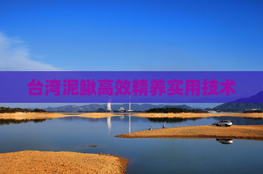 台湾泥鳅高效精养实用技术