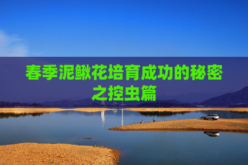 春季泥鳅花培育成功的秘密之控虫篇