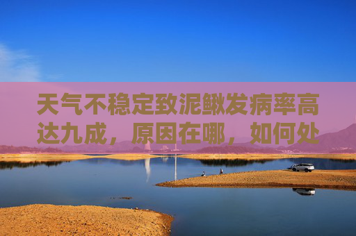 天气不稳定致泥鳅发病率高达九成，原因在哪，如何处理？