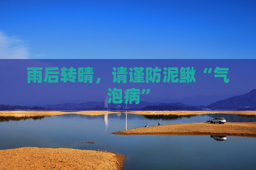 雨后转晴，请谨防泥鳅“气泡病”