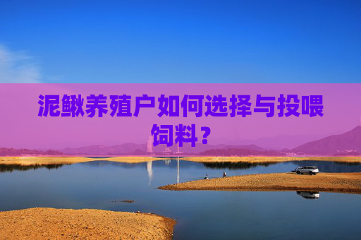 泥鳅养殖户如何选择与投喂饲料？