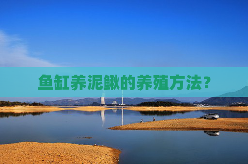 鱼缸养泥鳅的养殖方法？