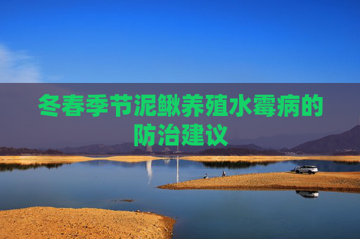冬春季节泥鳅养殖水霉病的防治建议