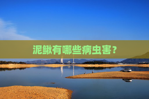 泥鳅有哪些病虫害？