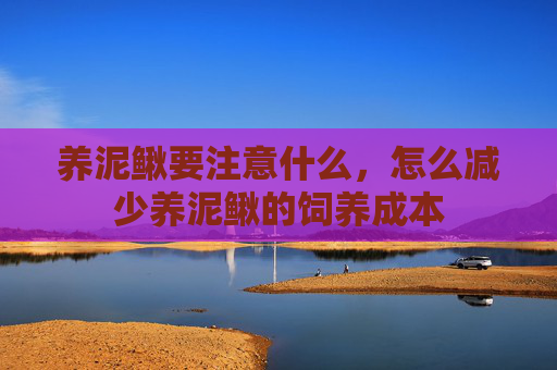 养泥鳅要注意什么，怎么减少养泥鳅的饲养成本
