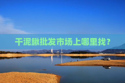 干泥鳅批发市场上哪里找？