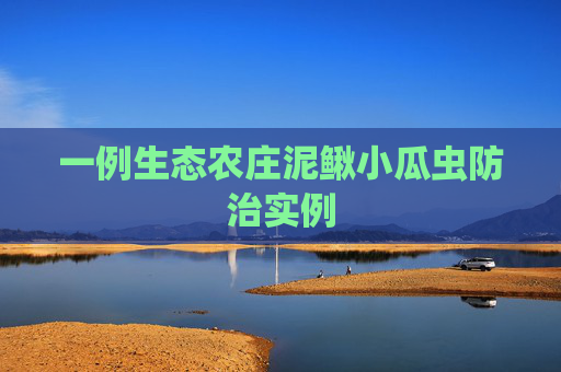 一例生态农庄泥鳅小瓜虫防治实例