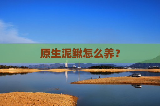 原生泥鳅怎么养？