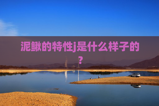 泥鳅的特性j是什么样子的？