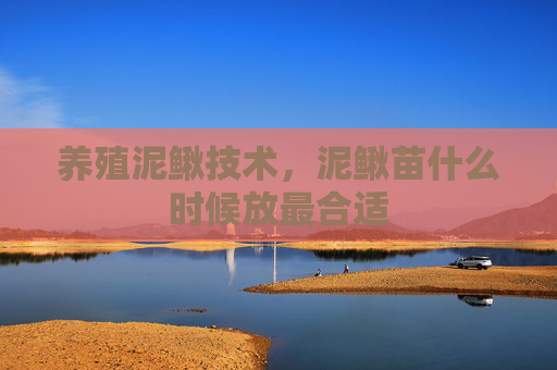 养殖泥鳅技术，泥鳅苗什么时候放最合适