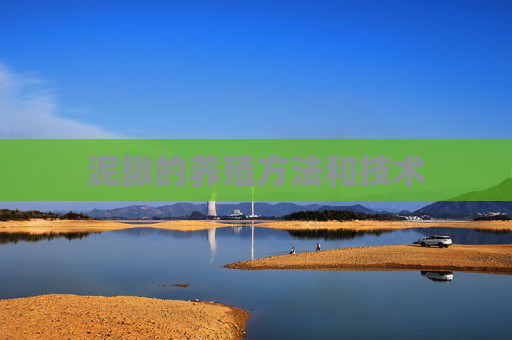 泥鳅的养殖方法和技术 泥鳅的养殖方法和技术