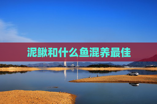 泥鳅和什么鱼混养最佳 泥鳅和什么鱼混养最佳