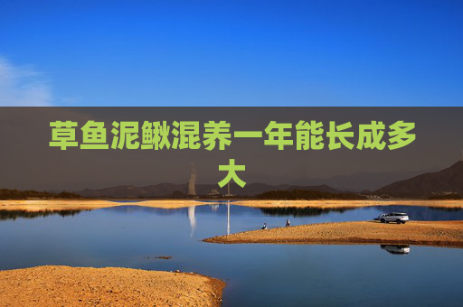 草鱼泥鳅混养一年能长成多大 草鱼泥鳅混养一年能长成多大