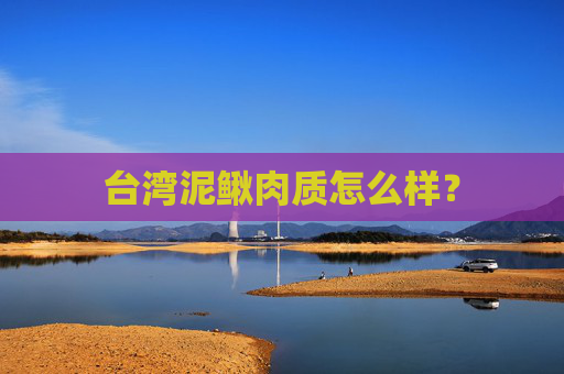 台湾泥鳅肉质怎么样？