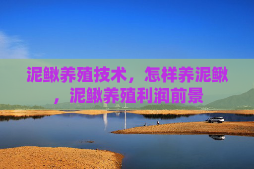 泥鳅养殖技术，怎样养泥鳅，泥鳅养殖利润前景