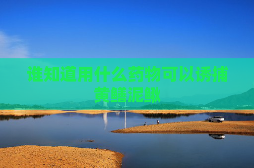 谁知道用什么药物可以诱捕黄鳝泥鳅