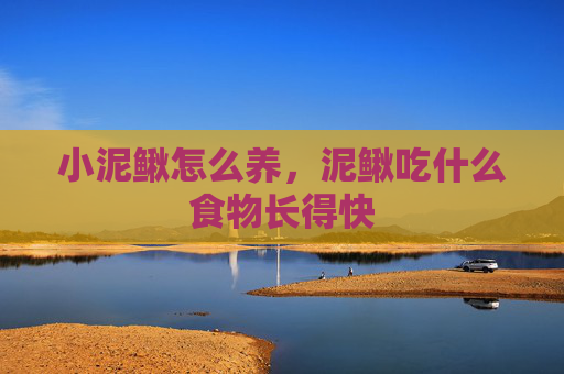 小泥鳅怎么养，泥鳅吃什么食物长得快