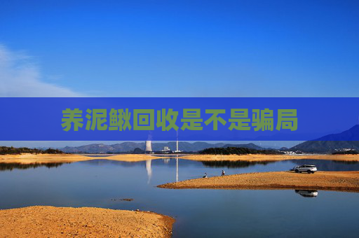 养泥鳅回收是不是骗局
