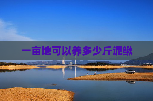 一亩地可以养多少斤泥鳅 一亩地可以养多少斤泥鳅