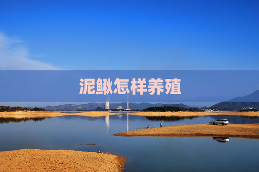 泥鳅怎样养殖