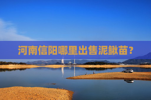 河南信阳哪里出售泥鳅苗？