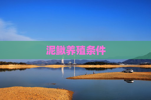 泥鳅养殖条件