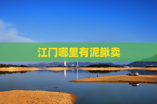 江门哪里有泥鳅卖