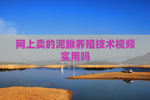网上卖的泥鳅养殖技术视频实用吗 网上卖的泥鳅养殖技术视频实用吗