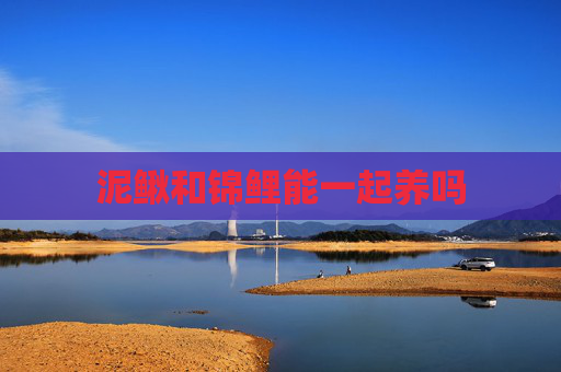 泥鳅和锦鲤能一起养吗