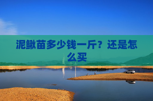 泥鳅苗多少钱一斤？还是怎么买