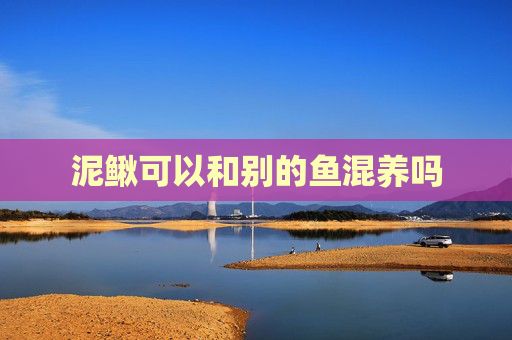 泥鳅可以和别的鱼混养吗 泥鳅可以和别的鱼混养吗