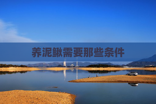 养泥鳅需要那些条件