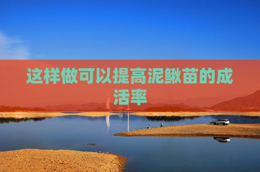 这样做可以提高泥鳅苗的成活率