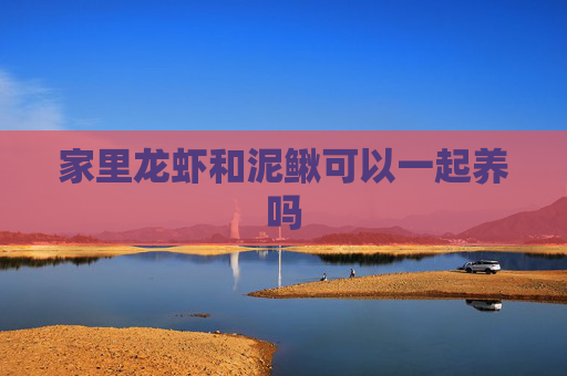 家里龙虾和泥鳅可以一起养吗 家里龙虾和泥鳅可以一起养吗
