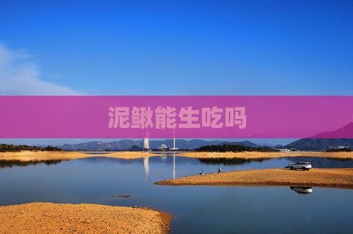 泥鳅能生吃吗