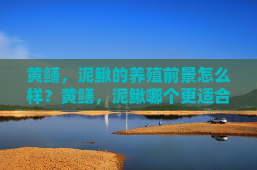 黄鳝，泥鳅的养殖前景怎么样？黄鳝，泥鳅哪个更适合养殖？