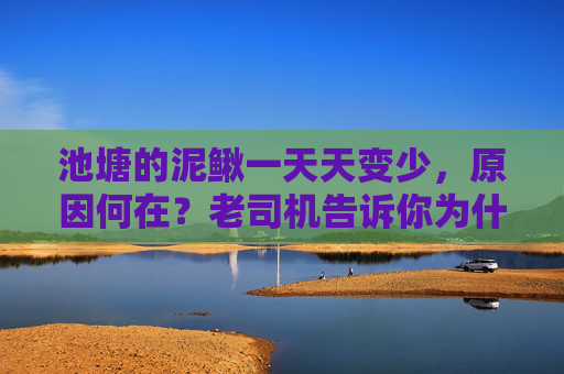 池塘的泥鳅一天天变少，原因何在？老司机告诉你为什么！