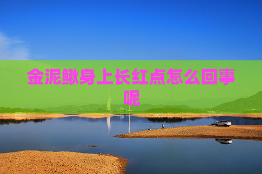 金泥鳅身上长红点怎么回事呢 金泥鳅身上长红点怎么回事呢