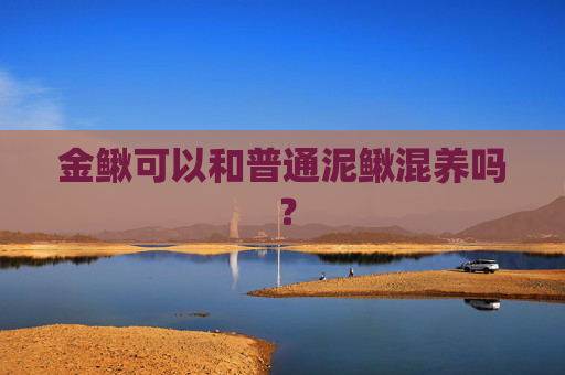 金鳅可以和普通泥鳅混养吗 ? 金鳅可以和普通泥鳅混养吗 ?