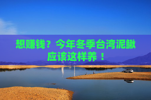 想赚钱？今年冬季台湾泥鳅应该这样养 ！