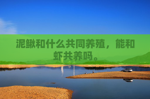 泥鳅和什么共同养殖,能和虾共养吗。 泥鳅和什么共同养殖,能和虾共养吗。
