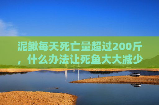 泥鳅每天死亡量超过200斤，什么办法让死鱼大大减少？